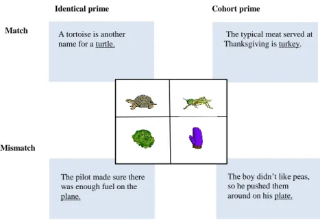 Figure 5: Primes in Experiment 2  Procedure 