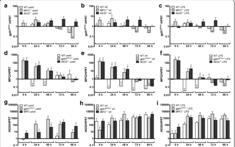 Fig. 3 a(and LPS-stimulated (10 ng/ml) (WT cells using the-c Relative gp91phox mRNA expression normalised to murine HPRT at different time points in uninfected (a), A