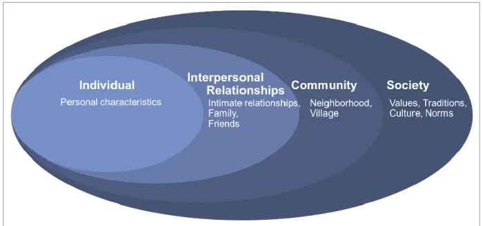 Figure 1.3. Adapted socioecological framework. 