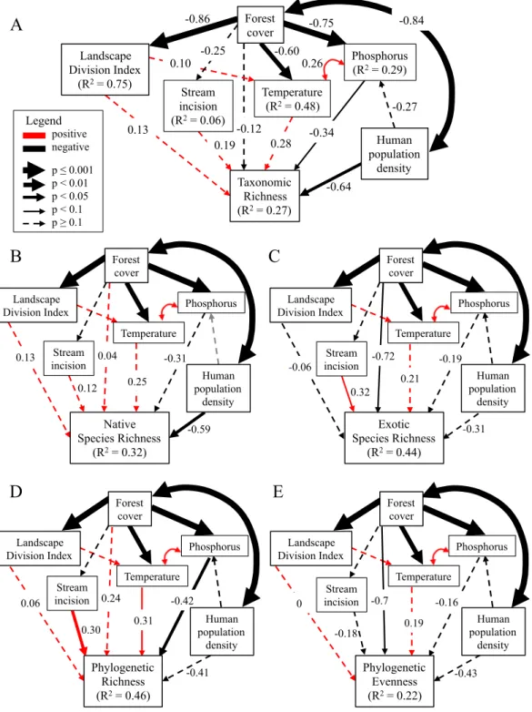 Figure 2.4. Results of structural equation models predicting taxonomic richness (A), native (B)  and exotic (C) species richness, phylogenetic richness (D), and phylogenetic evenness (E)