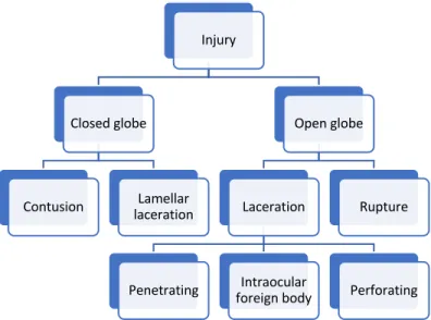 Figure 2. BETTS classification of eye injuries 