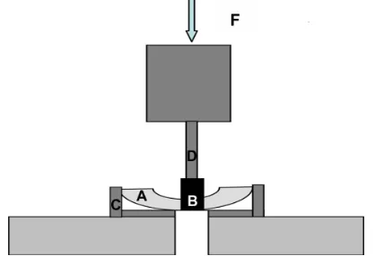 Figure 1 Schematic diagram of pushout testing. Tibiae were incised into halves (A) to expose the bottom of the implants (B)