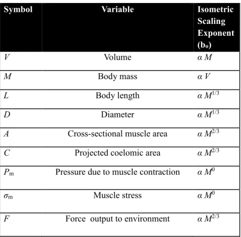 Table 2.1: Definition of variables used and their isometric scaling exponents. 