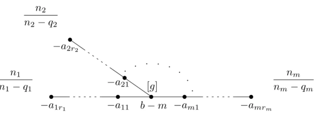 Figure 2.2: The dual graph of a weighted homogeneous singularity.