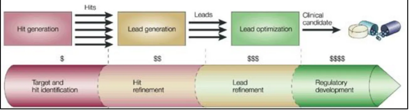 Figure  3.1.  Stages  in  the  drug  discovery  process.    Typical  steps  in  the  drug  discovery  process,  which  ensure  only  drug  candidates  with  high  potential  are advanced to the  next  phase