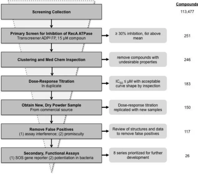 Figure  3.2.  Compound  attrition  during  hit  generation  stage  of  RecA  inhibitor  discovery  program