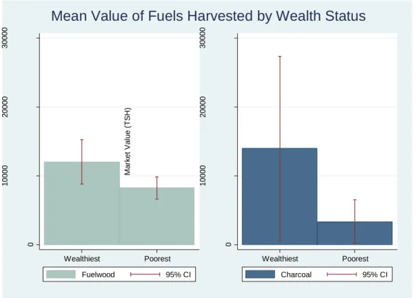 Figure 1 Fuel Types and Wealth Status 