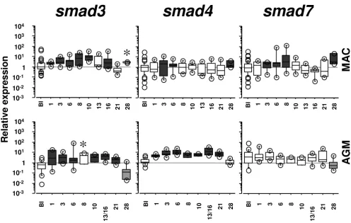 Figure 2smad3tionsDynamics of , smad4 and smad7 expressions in PBMC during pathogenic and non-pathogenic SIV infectionsDynamics of smad3, smad4 and smad7 expressions in PBMC during pathogenic and non-pathogenic SIV infec-