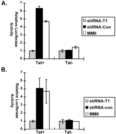 Figure 3proviral expressionKnockdown of cyclin T1 inhibits Tat transactivation of HIV-1 Knockdown of cyclin T1 inhibits Tat transactivation of HIV-1 proviral expression