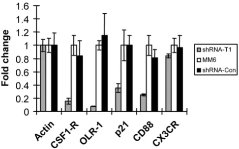 Figure 5Validation of the microarray dataValidation of the microarray data. Cell cultures were infected with indicated shRNA lentiviral vectors for five days, treated with PMA for 24 hours, and total RNA was isolated
