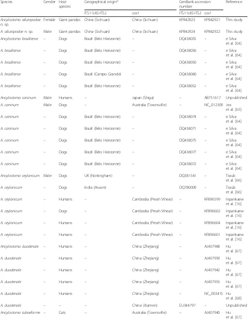 Table 1 Information of Ancylostoma species used for molecular identification in the present study