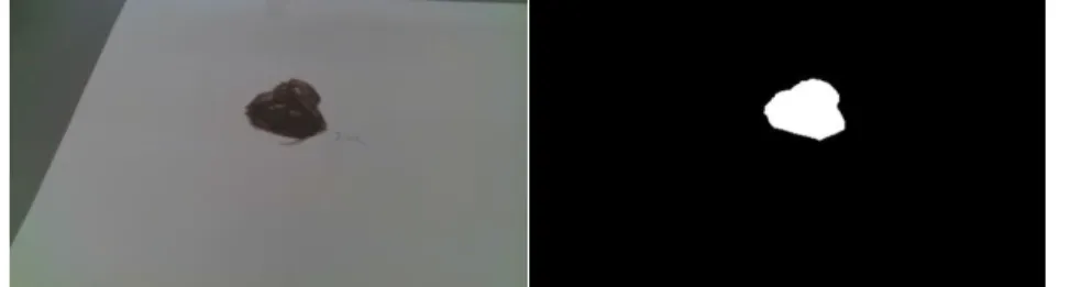 Figure 2 Example capture and the mask image 