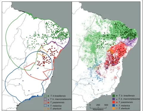 Figure 1 Left: Map of hypothesized accessible areas (lines) and occurrence data (points) for all species in the Triatoma brasiliensisspecies group