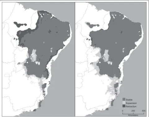 Figure 2 Climate change scenarios for the T. brasiliensis species complex in for 2020 (left) and 2050 (right), showing stable areas(medium gray) and areas of potential expansion (light gray) and potential retraction (dark gray).