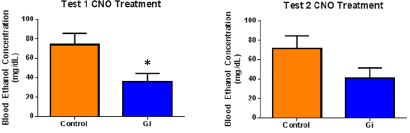Figure 1.  Two tailed t-tests indicated a significant reduction in ethanol consumption upon Gi  activation in the CeA for test 1 (p = 0.0006; n=11) and test 2 (p=0.0075; n=11)