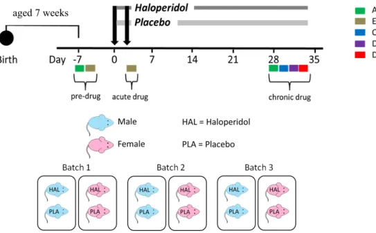 Figure 1. RIX phenotyping pipeline. 8-week old mice (846 male and female mice) from 73 RIX strains were phenotyped in 51 batches using this phenotyping pipeline to identify  strain differences in response to haloperidol treatment