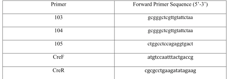 Table 1. This table shows the primers and their sequences that were used for PCR.  