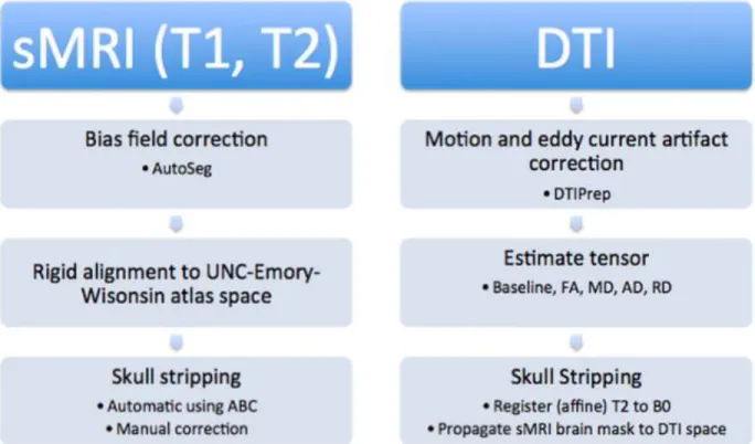Figure 6. The structural data was first processed using AutoSeg, followed by an affine registration into the atlas space, and then  automatically skull stripped with manual corrections
