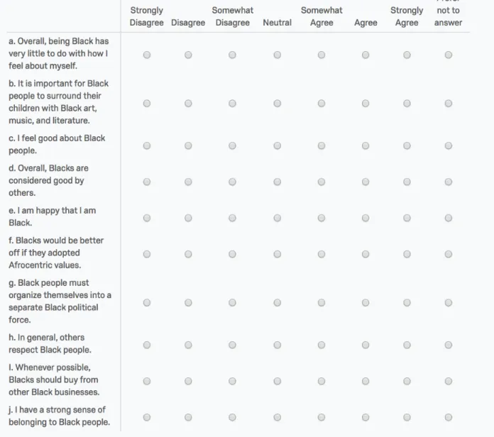 Figure 3.  Example of Multidimensional Inventory Black Identity (MIBI) questions in survey  