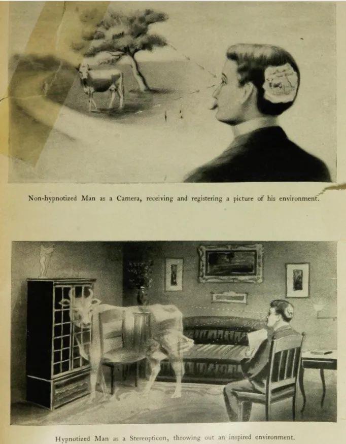 Figure 2. Santanelli compares ordinary perception to hypnosis. Whereas the ordinary senses record the cow like a camera,  the hypnotized senses project the cow in the manner of a magic lantern.
