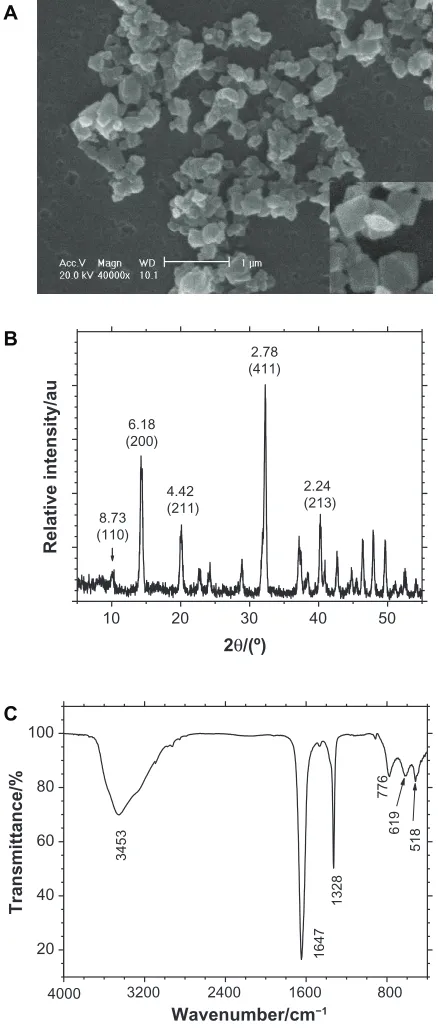 Figure 1 Morphology and composition analysis of ultrafine calcium oxalate dihydrate microcrystals by (A) scanning electron microscopy (scale bar = 1 µm), (B) X-ray diffraction, and (C) Fourier transform infrared spectroscopy.