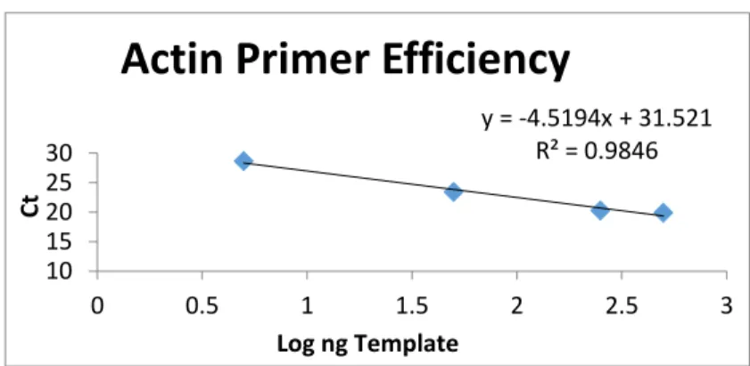 Figure 3a. Actin primer efficiency 