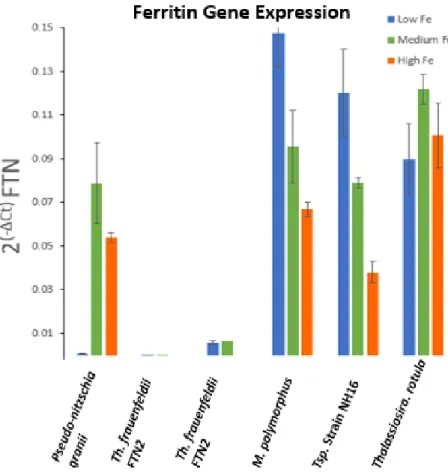 Figure 5. The use of the ΔCt method to show ferritin gene  expression by pennate and centric diatoms in various iron  conditions