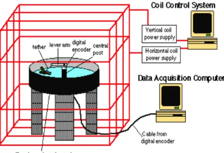 Figure 3. The experimental setup used in this study. The diagram indicates the lever (tracking)  arm, the monofilament tether line, and the coil system (red)