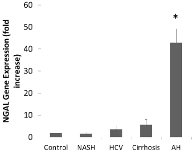 Figure 1. Hepatic NGAL gene expression in patients with several liver diseases. (*p<0.05  compared to all other groups) 