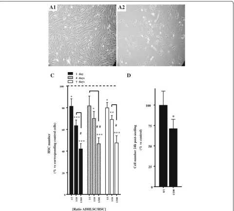 Fig. 1 Effect of ADHLSCs on HSC culture.which was maintained for up to 7 days (N = 6 for 24 h; N = 4 for 4 and 7 days).an ADHLSC:HSC ratio of 1:100, using the CCK-8 biochemical assay (N = 4)