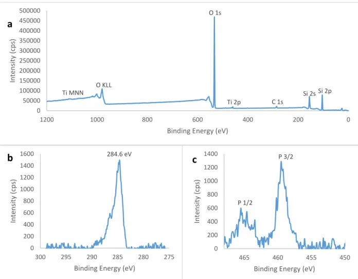 Figure 4. (a) Survey spectra for TiO2 saturated pulse on Si. (b) C 1s core electron reference