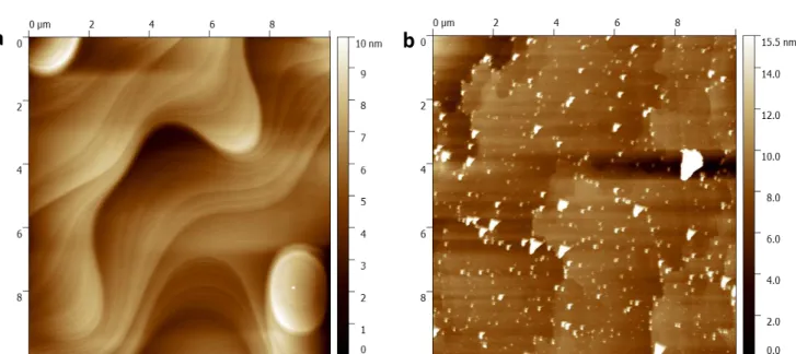 Figure 1. (a) Topography of NaCl substrate as-cleaved. (b) Topography of NaCl substrate cleaved and annealed in  open-air