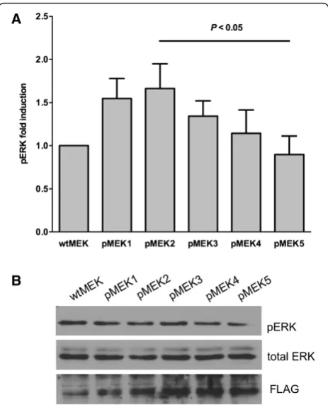Figure 2 SNPs within MEK D-site and catalytic domain alterAnopheles gambiae ERK phosphorylation in vitro