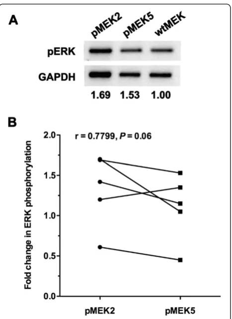Figure 4 Midgut-specific overexpression of exogenous variantof females transformed with plasmids encoding catalytically activeMEK (pMEK2) or catalytically active MEK K3M/K6M (pMEK5), respectively.Variantmosquitoes were comparable to endogenouslevels in NT 