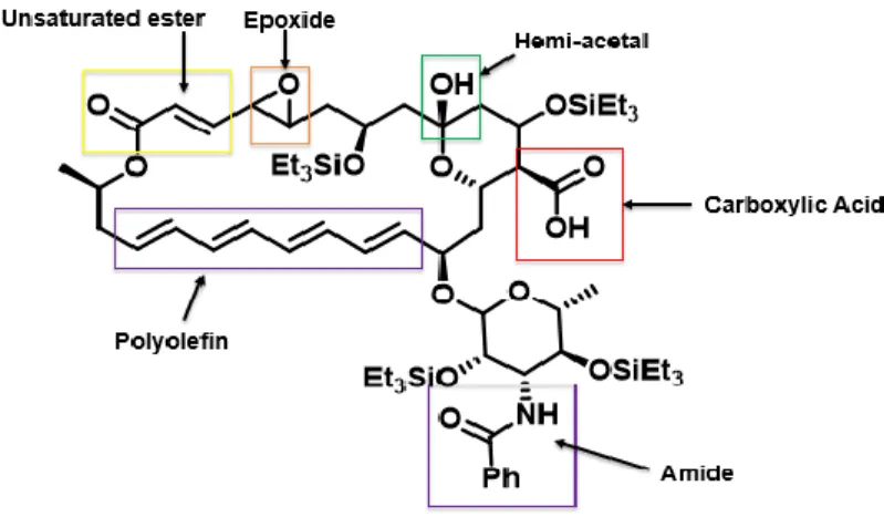Figure 5.  Natamycin structure with functional groups highlighted .  