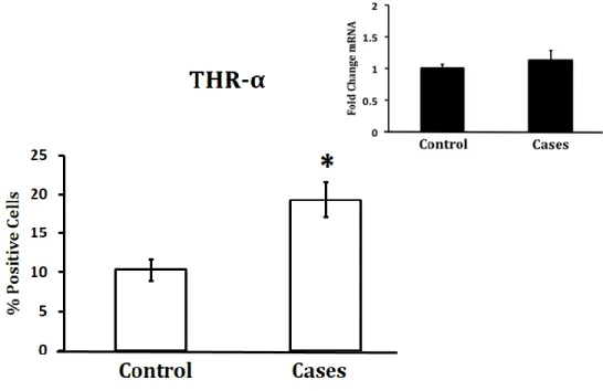 Figure 5: THRA IHC (bottom) and mRNA (top) 