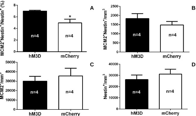 Figure 9. (A) DREADD activation of all VGLUT3 CCK-cells in the DG produced an increase in  the percentage of proliferating NSCs (proliferating NSCs/total NSCs)