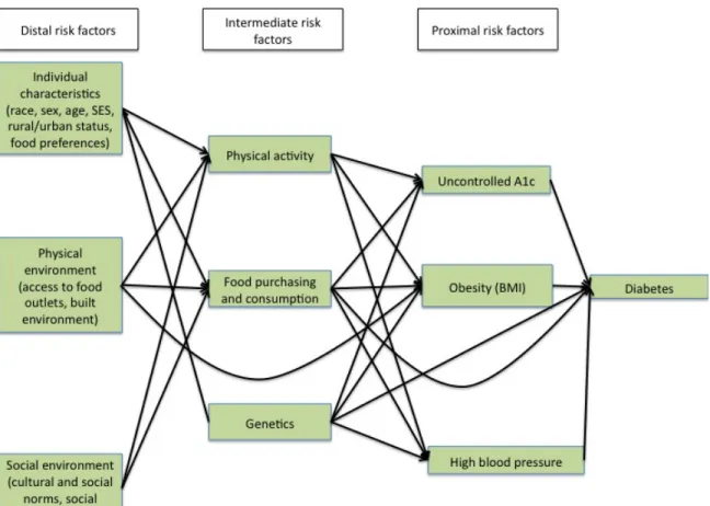 Fig. 1. Conceptual model documenting proximal, intermediate, and distal risk factors for  diabetes