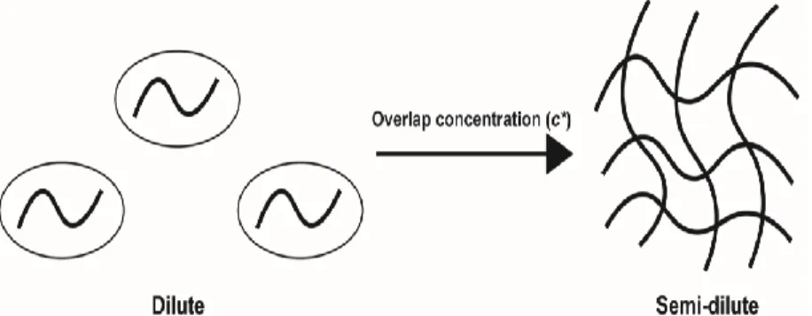 Figure 3: Polymers can be approximated as individual molecules  before reaching their overlap concentration, c*