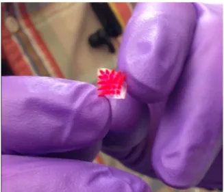 Fig. S1. Demonstration of the PEG baseplate’s flexibility  