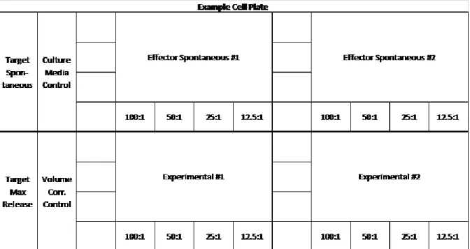 Figure 1. Example setup of the cell plate with all six well types described above. Each 96  well plate can hold two mouse spleen samples