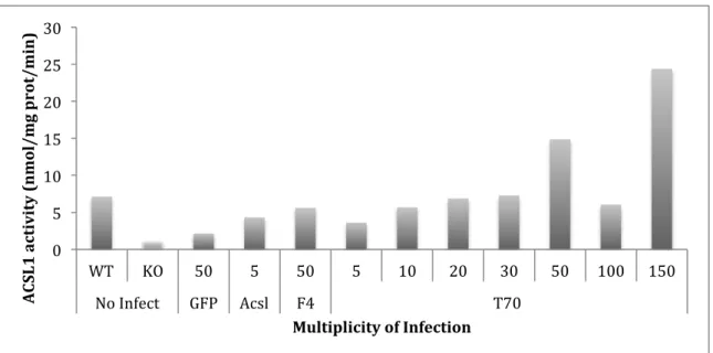 Figure 1. Effect of multiplicity of infection on ACSL1 activity in virus infected brown adipocytes