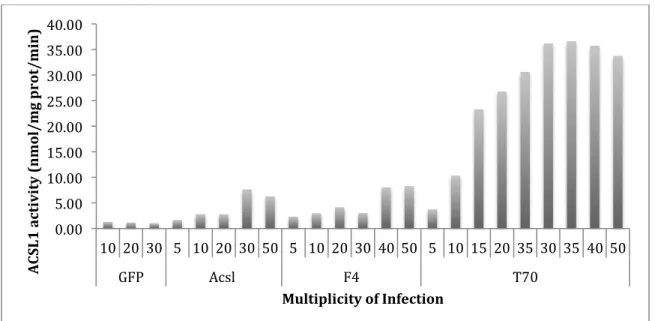 Figure 2. Effect of multiplicity of infection on ACSL1 activity in virus infected hepatocytes