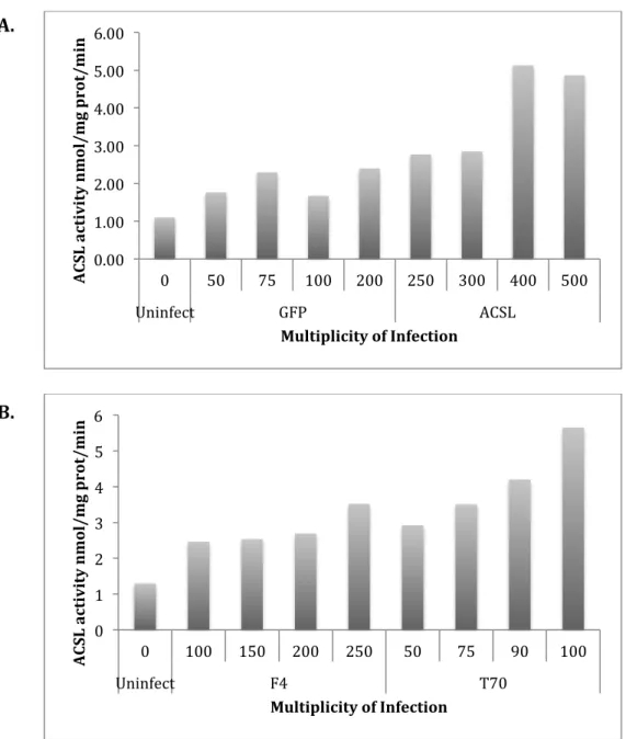 Figure 7. Effect of multiplicity of infection on ACSL1 activity in virus infected cardiomyocytes