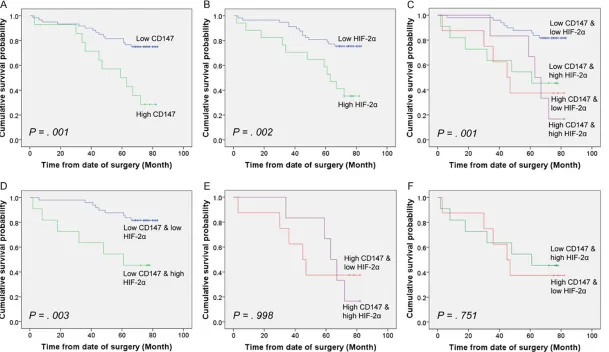 Figure 2. Kaplan-Meier survival analysis of CD147 and HIF-2α expressions in localized ccRCC