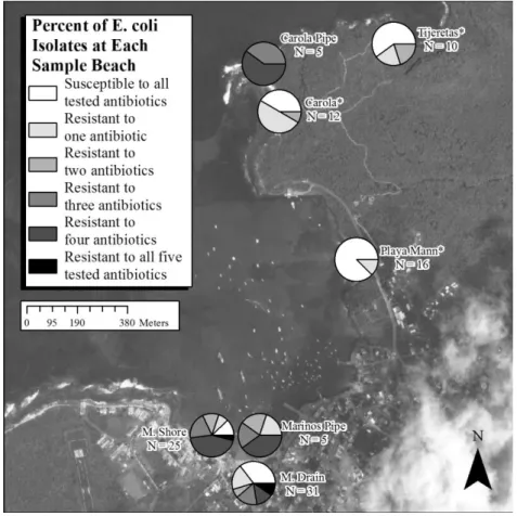 Figure 6. Amount of antibiotic resistance at each sample beach. 