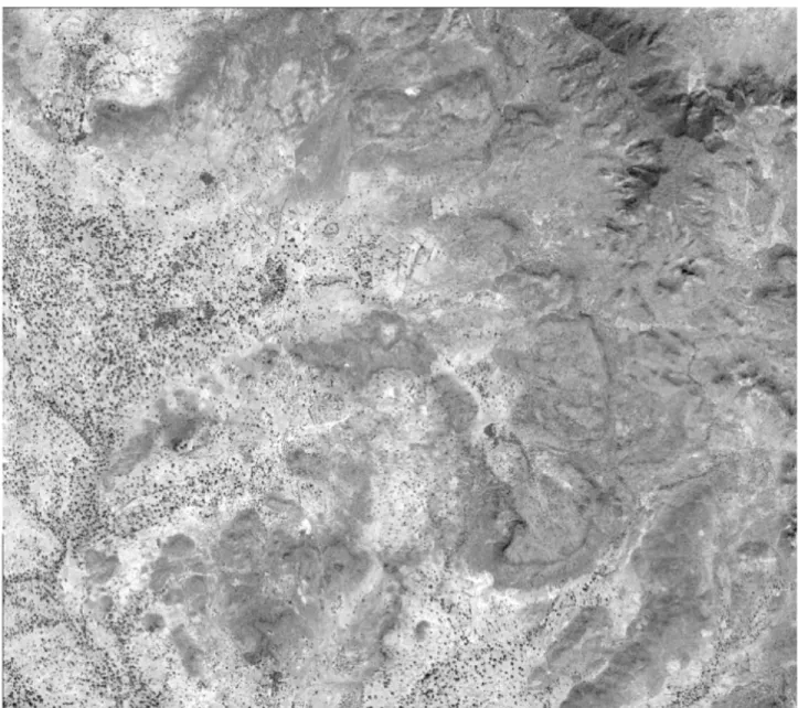 Figure 4. Raw panchromatic satellite image of Sakou 