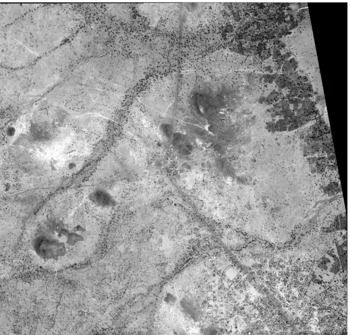 Figure 6. Raw panchromatic satellite image of Loulouka 