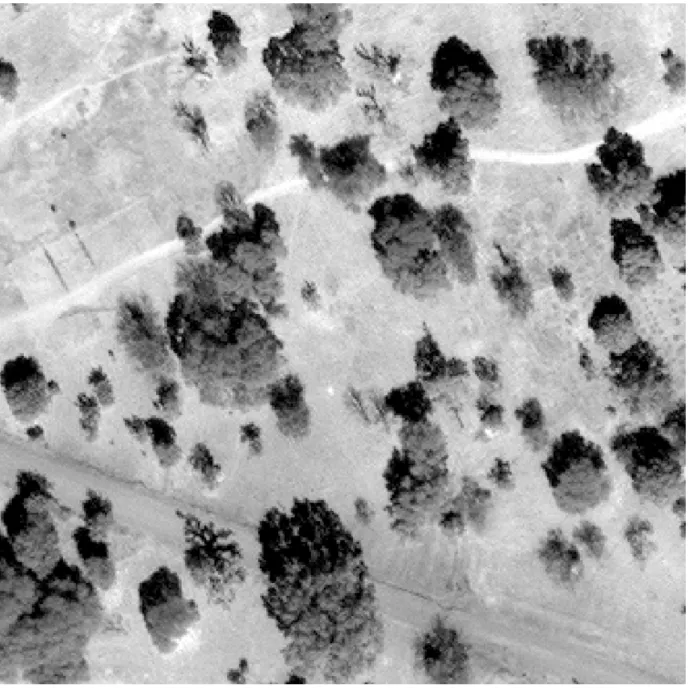 Figure 9. GeoEye-1 panchromatic satellite image 