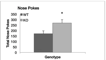 Figure 4. Genotype difference in total nose pokes for a one-hour test. Data shown are means (+ 